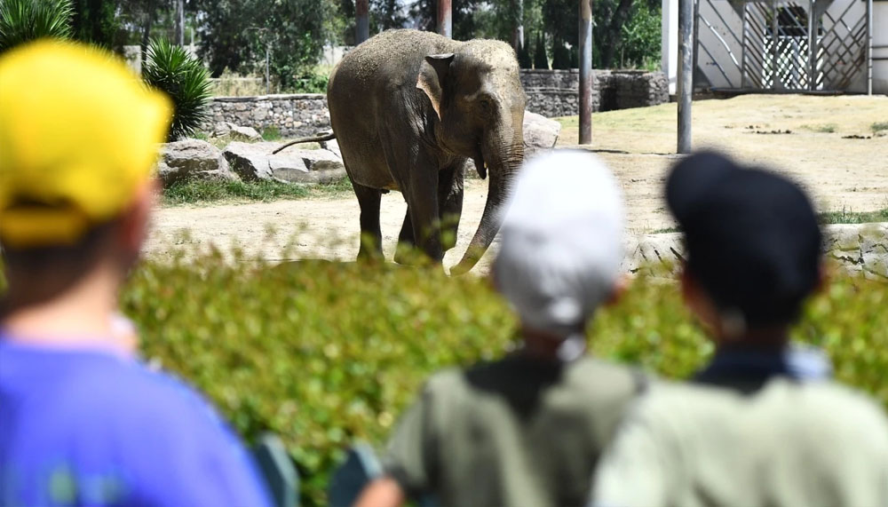 İzmir Doğal Yaşam Parkı bayramda ziyaretçileri bekliyor – Birlik Haber Ajansı