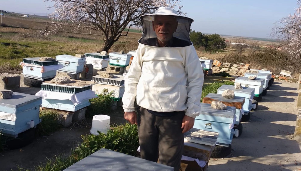 Süne mücadelesi faydalı canlıları tehdit ediyor – Birlik Haber Ajansı