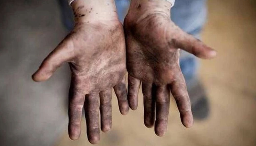 Çocuk işçiliğinde yüzde 50 azalma… – Birlik Haber Ajansı