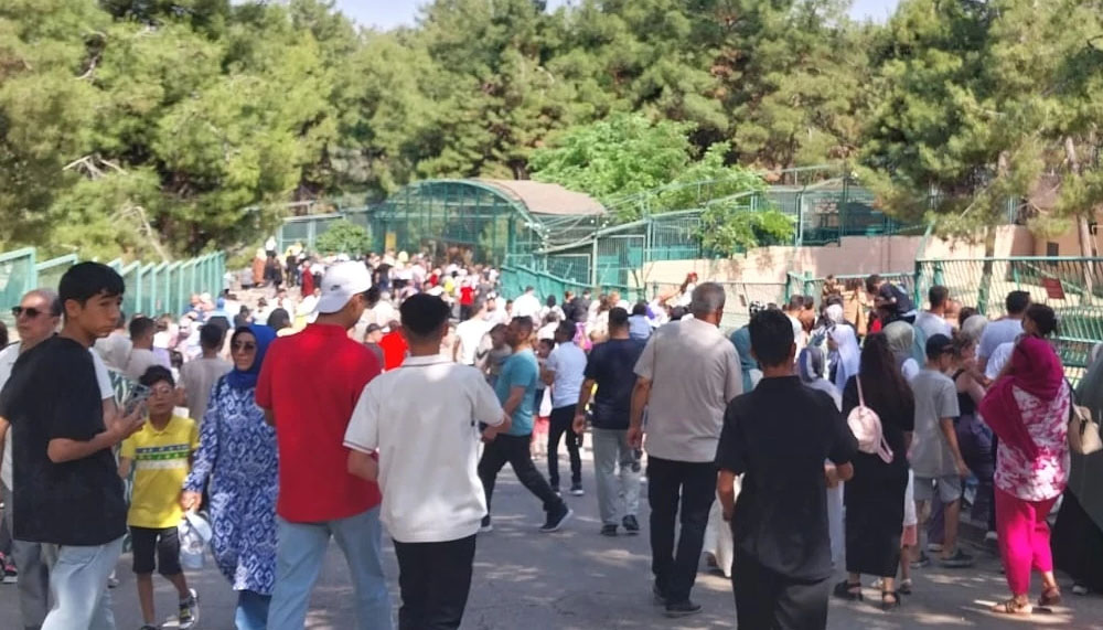 Gaziantep Doğal Yaşam Parkı 90 bin ziyaretçi ağırladı – Birlik Haber Ajansı
