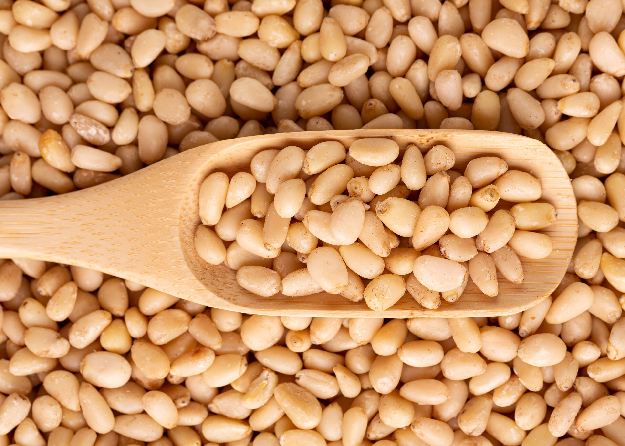 Aydın çam fıstığı AB’den coğrafi işaret tescili aldı – Birlik Haber Ajansı