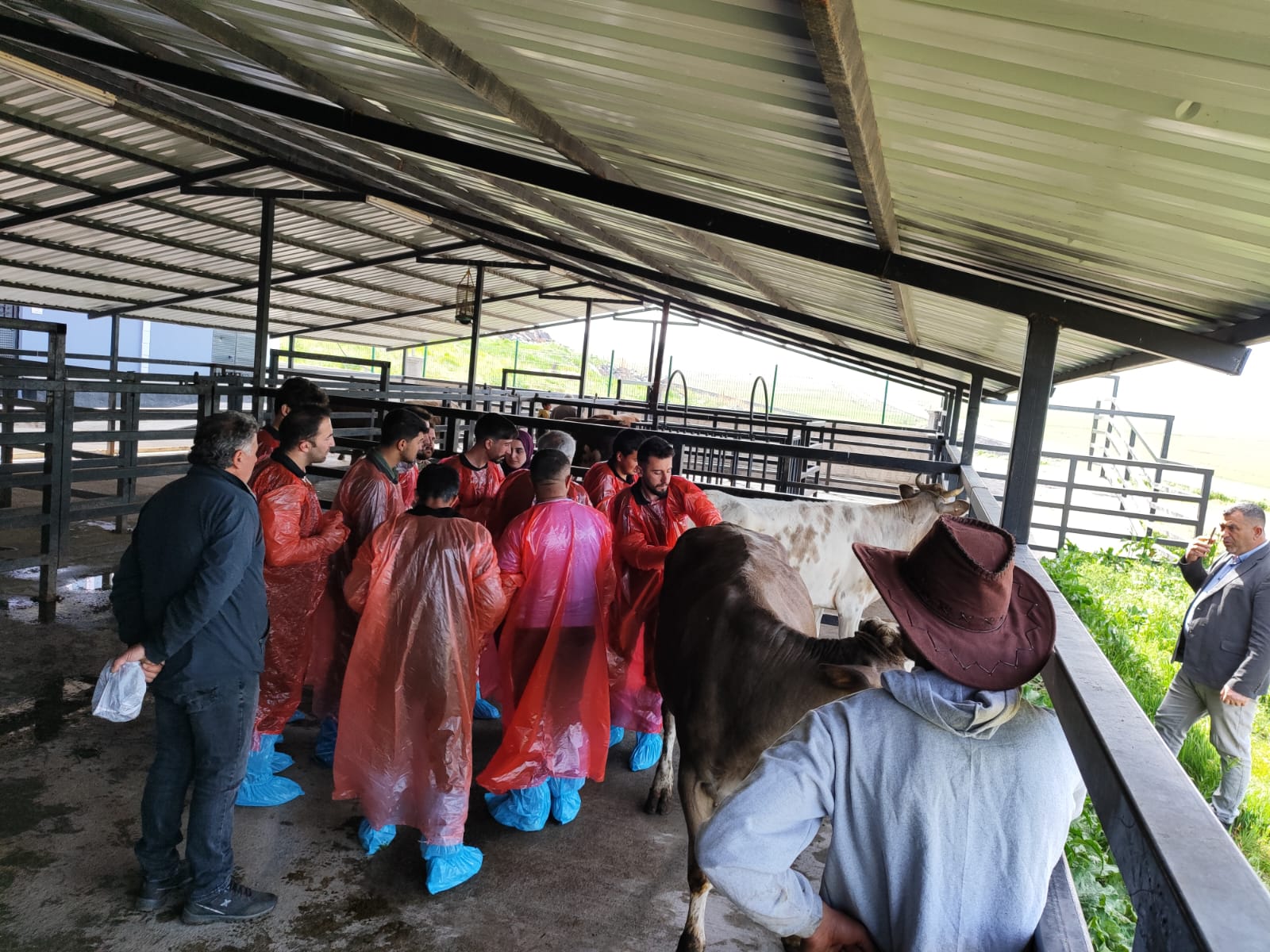 Kars’ta “İneklerde Rektovaginal Yöntemle Suni Tohumlama” kursu başarıyla tamamlandı – Birlik Haber Ajansı