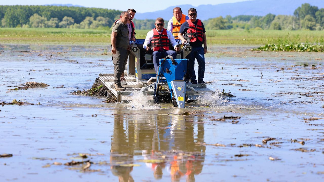 Düzce Efteni Gölü temizleniyor – Birlik Haber Ajansı