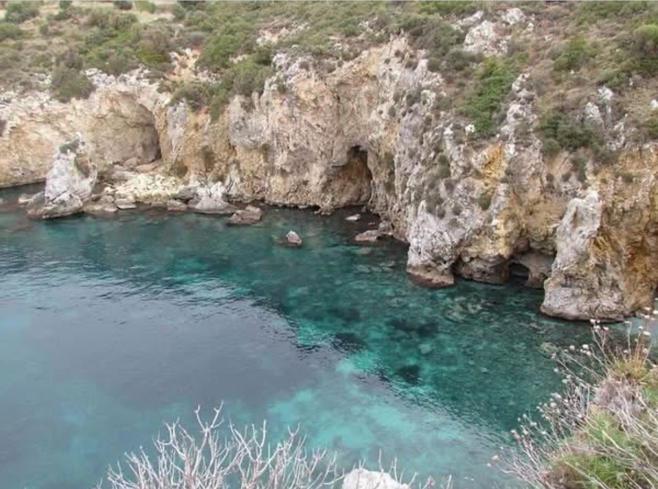 Kuşadası’nda nadir ziyaretçi: Akdeniz foku görüntülendi! – Birlik Haber Ajansı