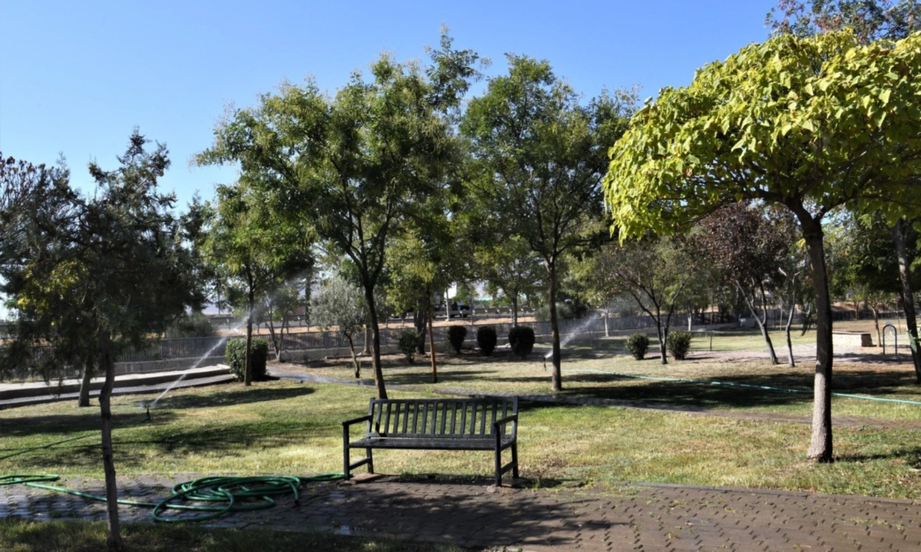 İzmir Bornova’dan ‘Yeşil Dönüşüm’ hamlesi – Birlik Haber Ajansı