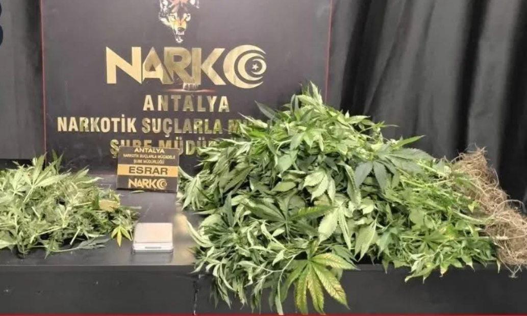 Antalya’da zehir tacirlerine darbe: 113 şüpheli gözaltında – Birlik Haber Ajansı