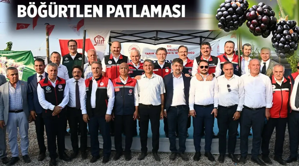 Batman böğürtlen diyarı oldu – Birlik Haber Ajansı