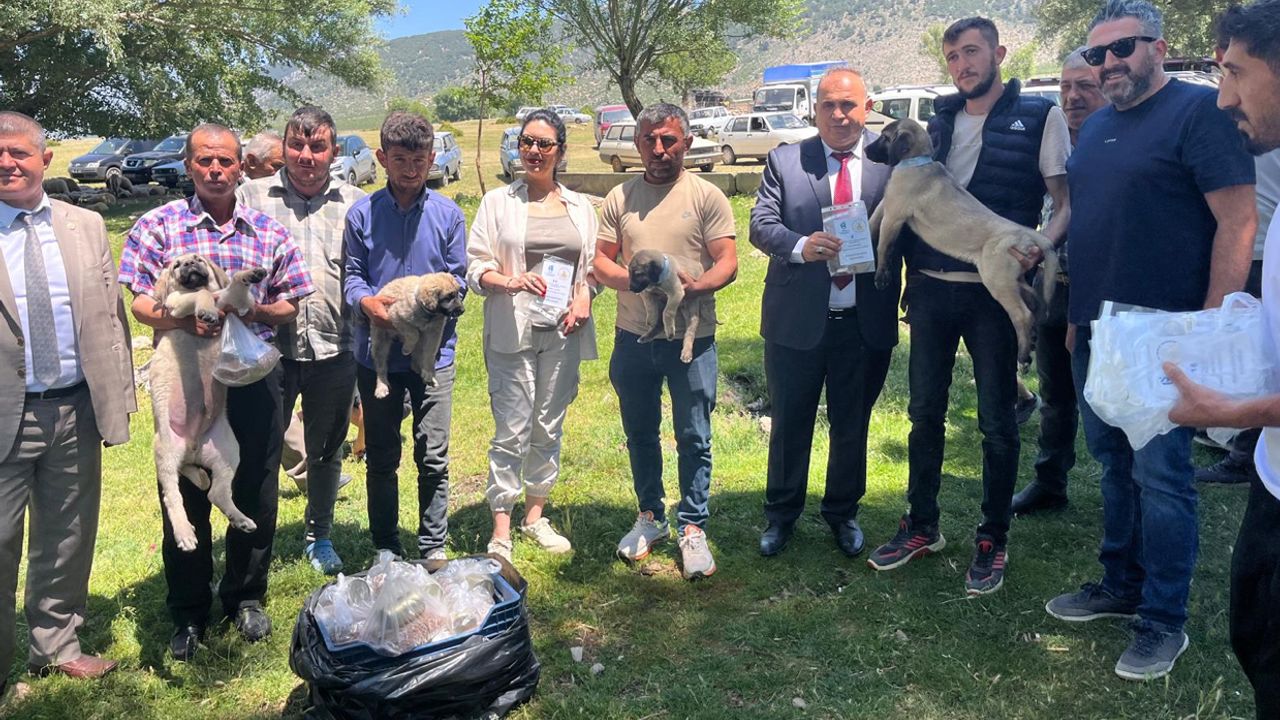 Isparta’da kurt sorununa çoban köpeği çözümü – Birlik Haber Ajansı