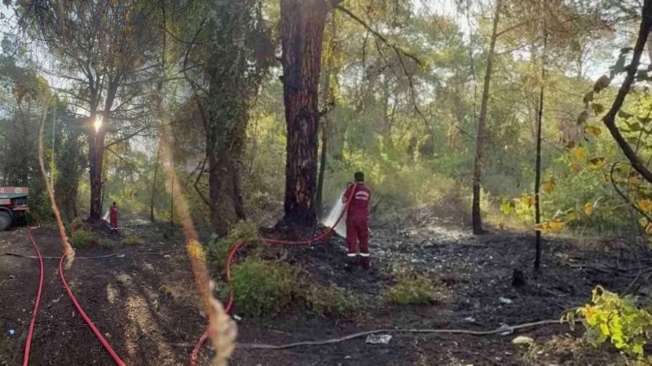 Serik’te korkutan yangın! Ormanlık alan zarar gördü – Birlik Haber Ajansı