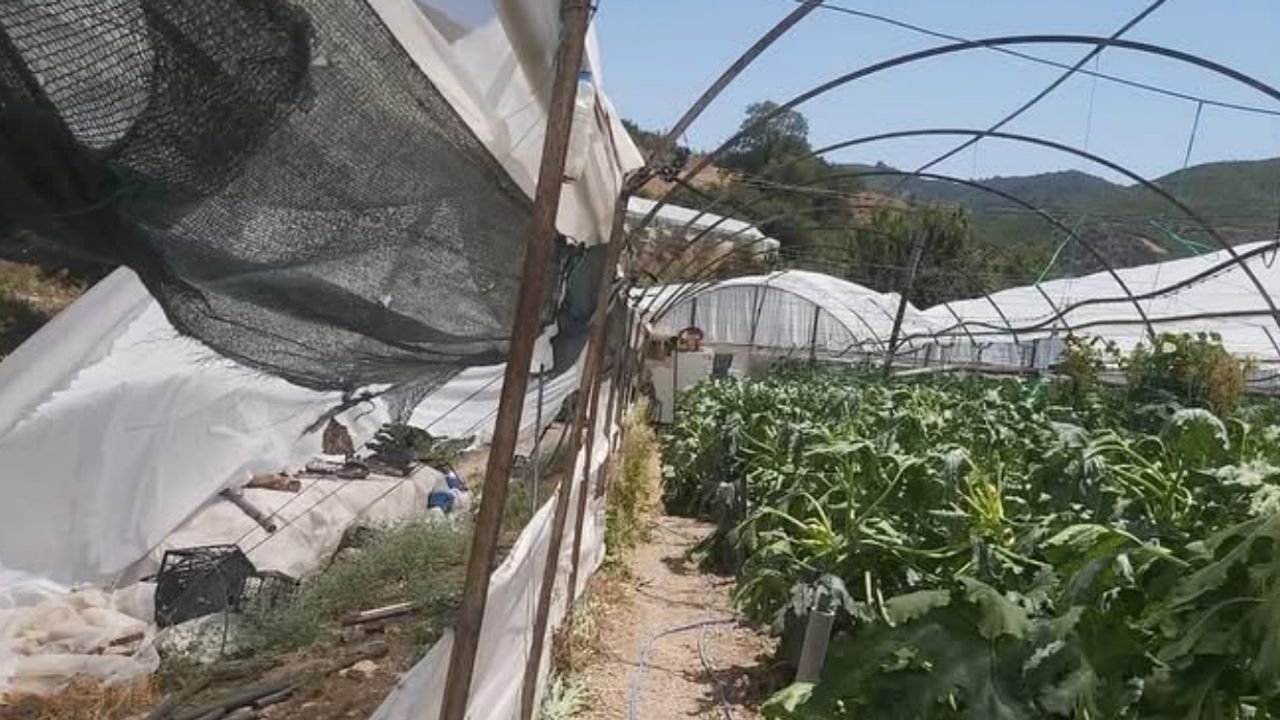 Kumluca’da hortum seraları vurdu: Çiftçiler zarar gördü – Birlik Haber Ajansı