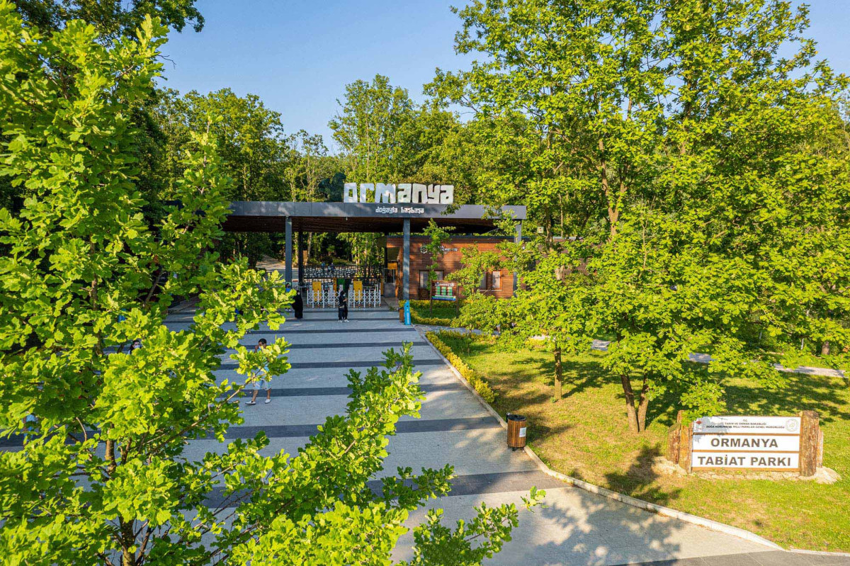 Ormanya’da yaz hazırlıkları tamam