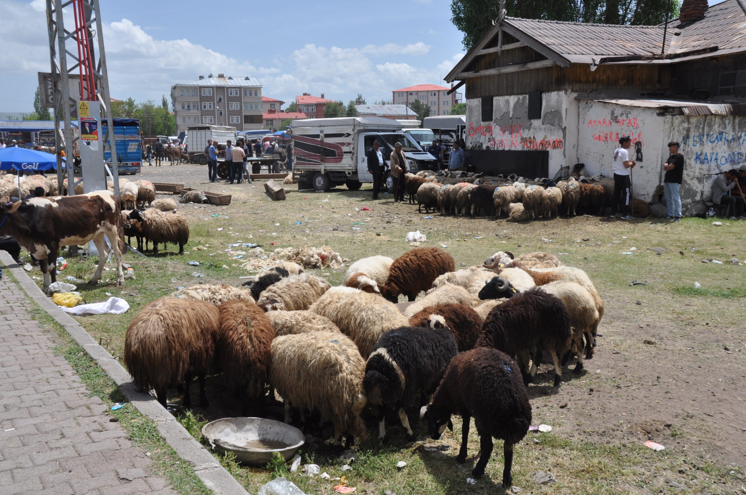 Kars’ta Kurban Bayramı yoğunluğu: Çarşı, pazar ve trafikte hareketlilik arttı – Birlik Haber Ajansı