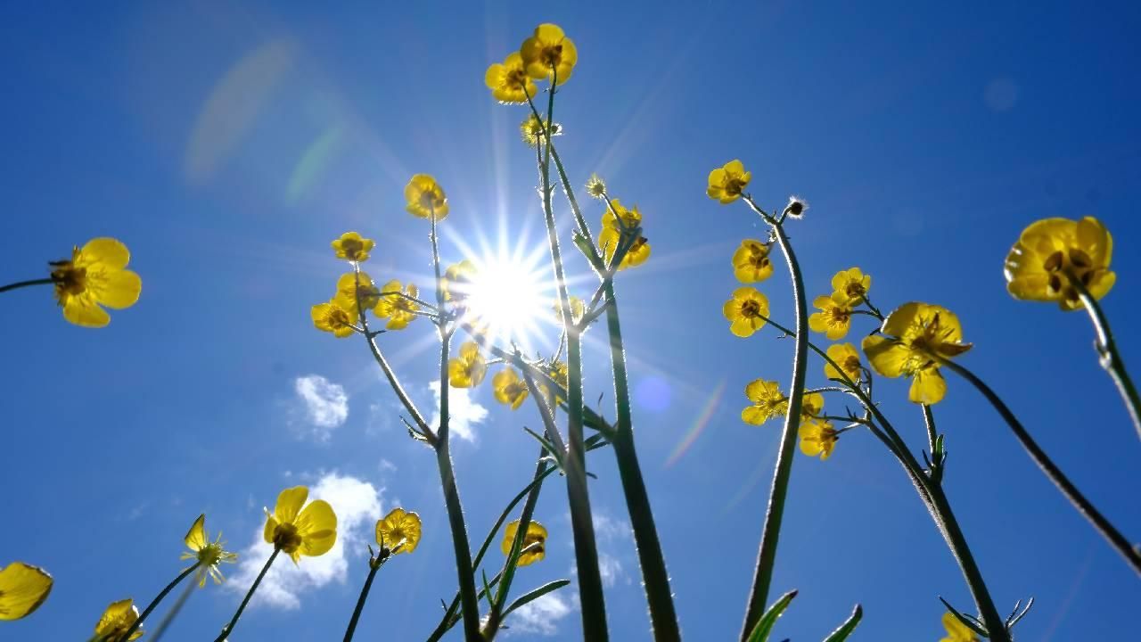 Sıcak hava geri dönüyor: Cuma günü zirve yapacak – Birlik Haber Ajansı