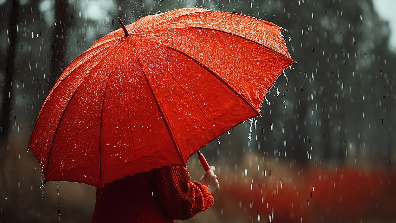 Ankara’da sağanak yağış alarmı – Birlik Haber Ajansı