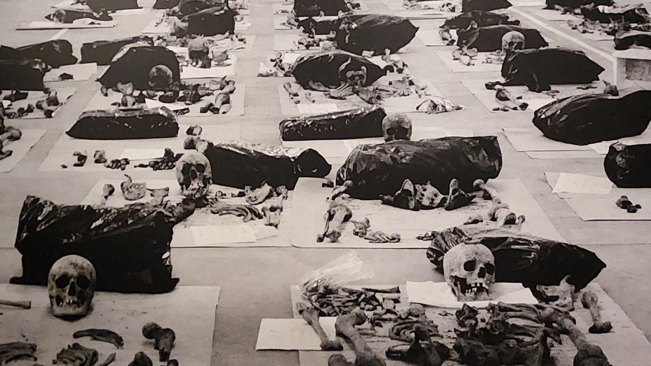 Srebrenitsa Soykırımı’nın hafızası bu galeride – Birlik Haber Ajansı