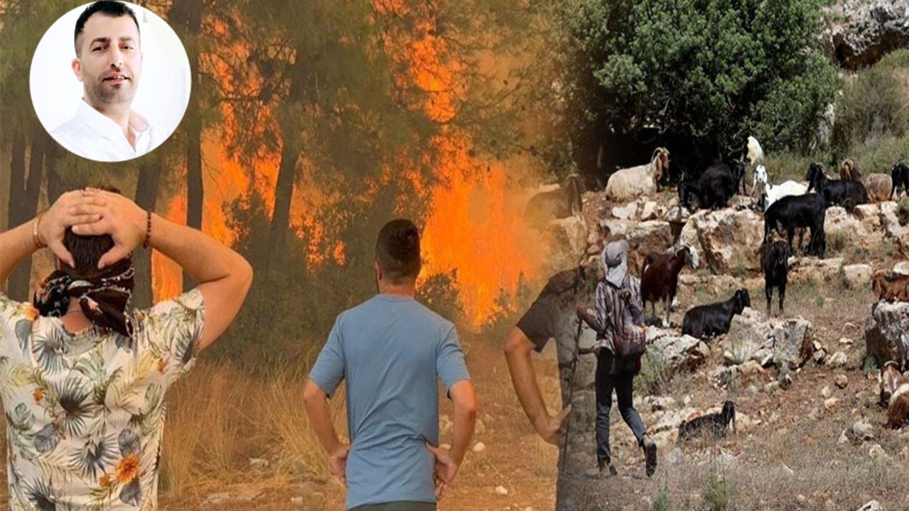 Bir kara keçinin yokluğu bin ağaç yakar – Birlik Haber Ajansı