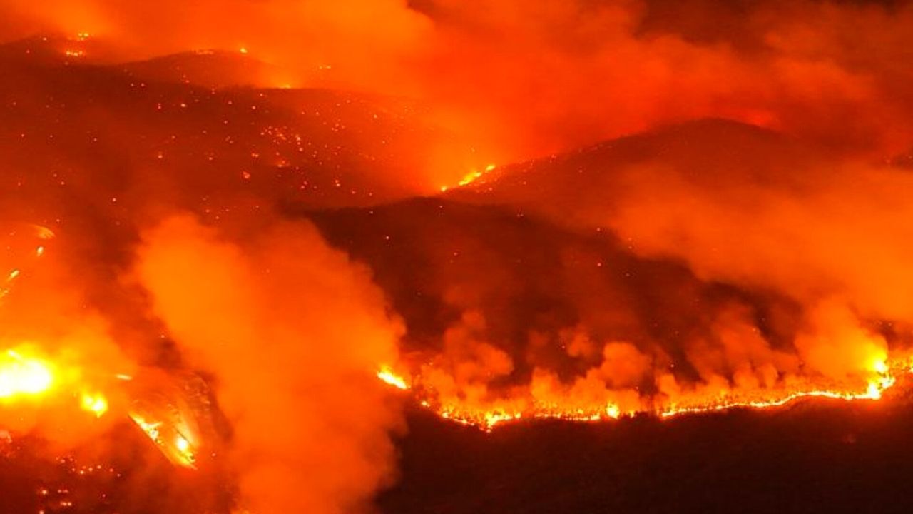 Yeşil Vatan yanıyor: Bursa, Karabük ve Kahramanmaraş’ta son durum – Birlik Haber Ajansı