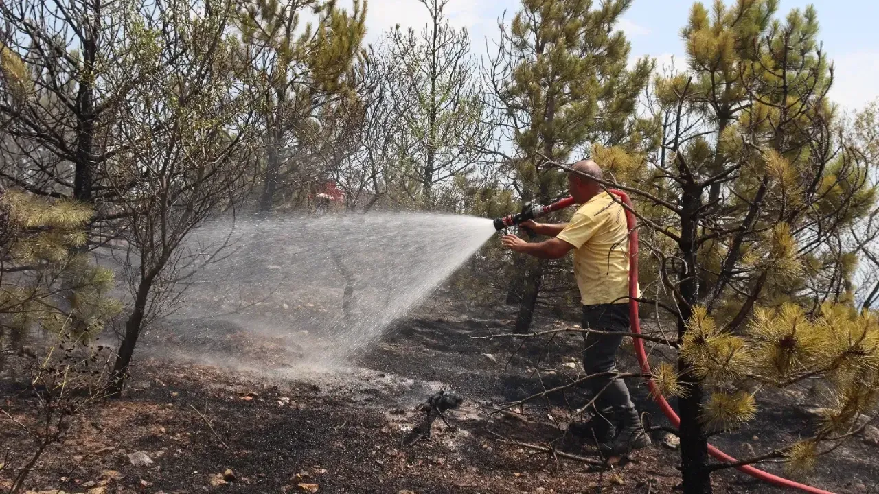 Amasya’da otluk alanda başlayan yangın ormana sıçradı: 20 dönüm alan küle döndü – Birlik Haber Ajansı
