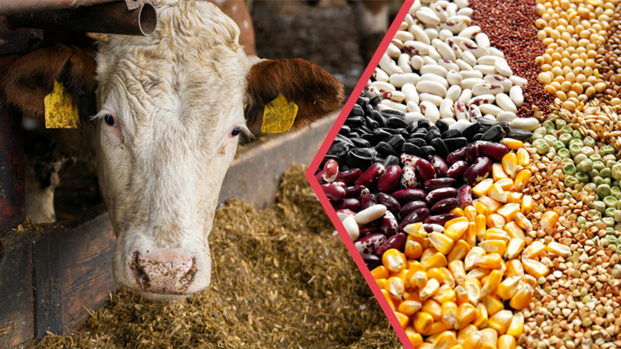 344 Milyonluk Tarımsal Destek Hesaplara yatırıldı – Birlik Haber Ajansı