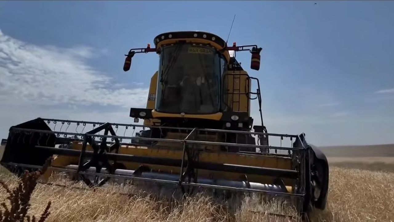 Kars’ta hasat mevsimi başladı: İlk arpa Digor Yeniköy’de biçildi – Birlik Haber Ajansı