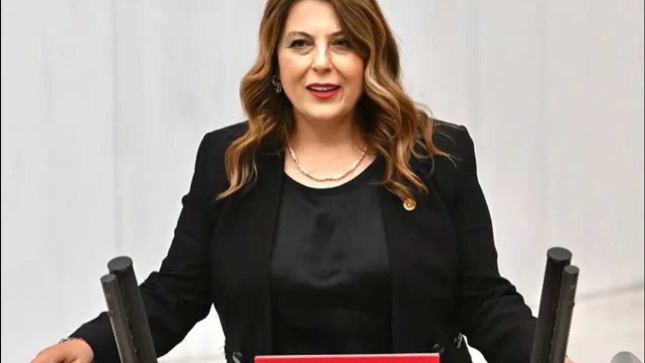 Elvan Işık Gezmiş: İlaca erişim sorunu çözülmeli – Birlik Haber Ajansı