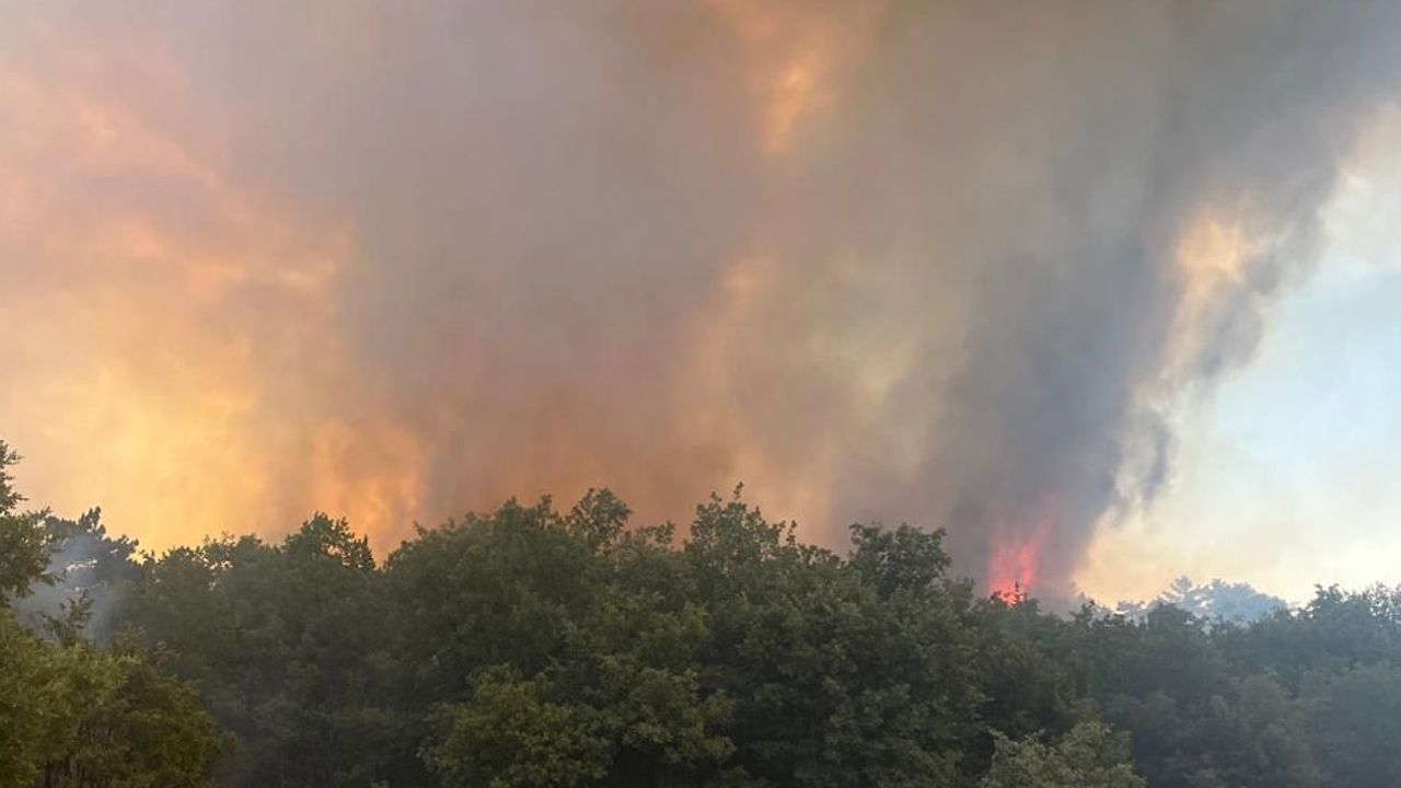 Bursa’da orman yangını: Ekipler havadan ve karadan müdahalede – Birlik Haber Ajansı