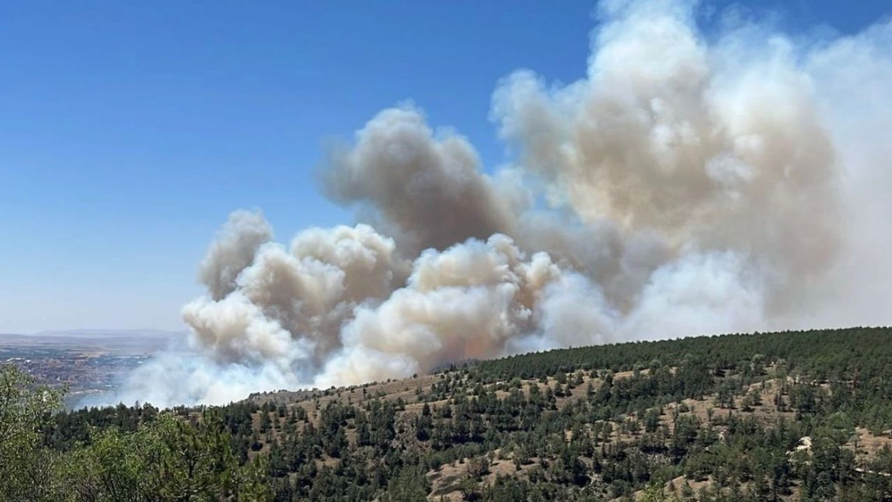 Ankara Eymir Gölü çevresinde orman yangını çıktı – Birlik Haber Ajansı