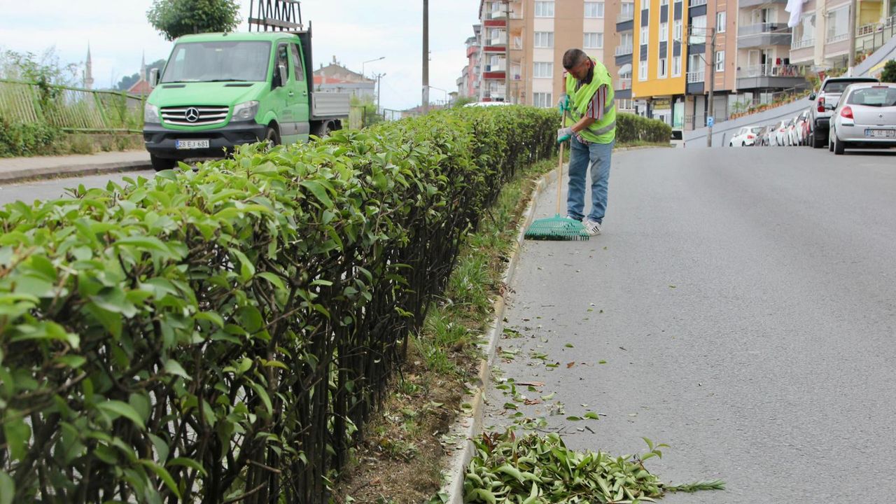 Giresun Belediyesi yeşili koruyor – Birlik Haber Ajansı