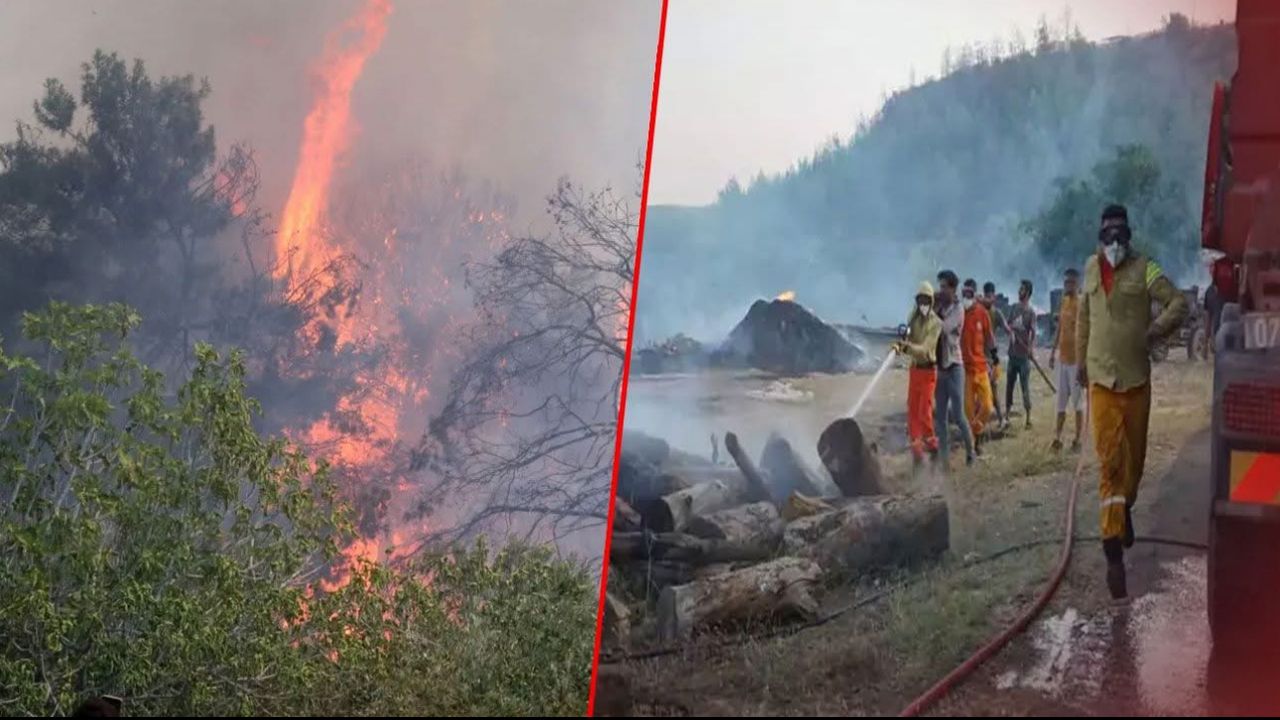 Antalya’da 9 günde 14 orman yangını! 45 hektar alan zarar gördü – Birlik Haber Ajansı