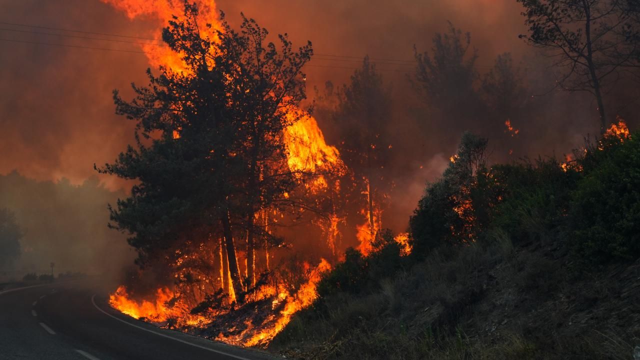 Bilecik ve İzmir, “Genel Hayata Etkili Afet Bölgesi” ilan edildi – Birlik Haber Ajansı