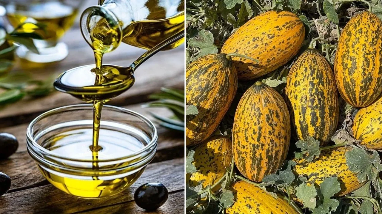 Anadolu’nun iki değeri daha AB’den tescil kazandı – Birlik Haber Ajansı