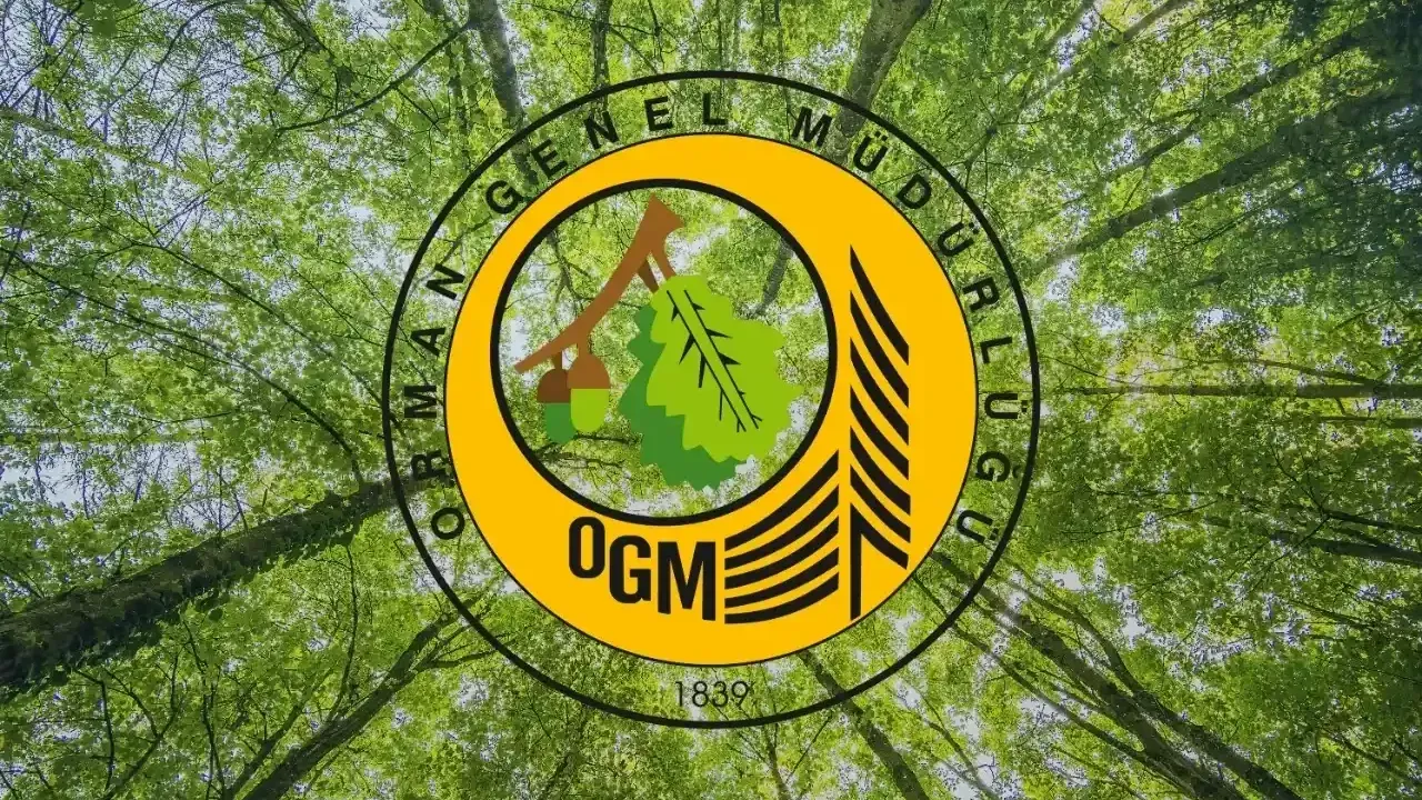 OGM’den kritik yangın uyarısı: 19-25 Temmuz arasına dikkat! – Birlik Haber Ajansı