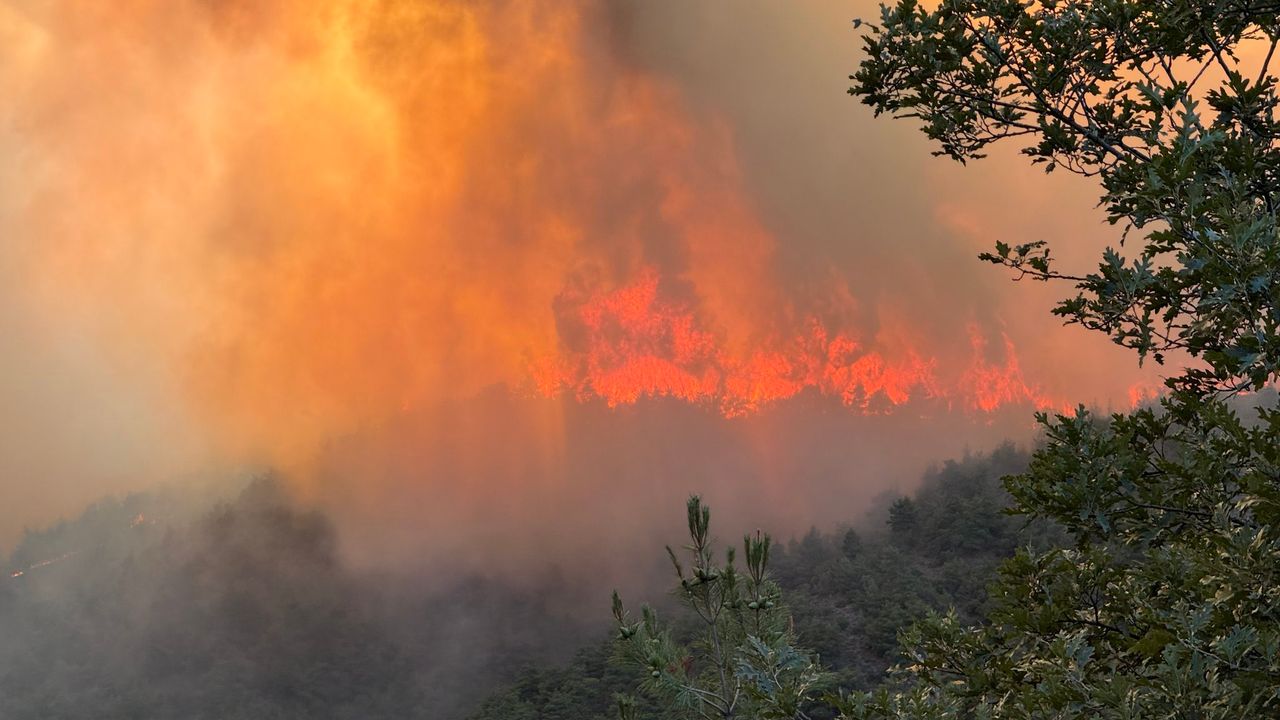 Sakarya Hendek’teki orman yangını soğutma aşamasında – Birlik Haber Ajansı