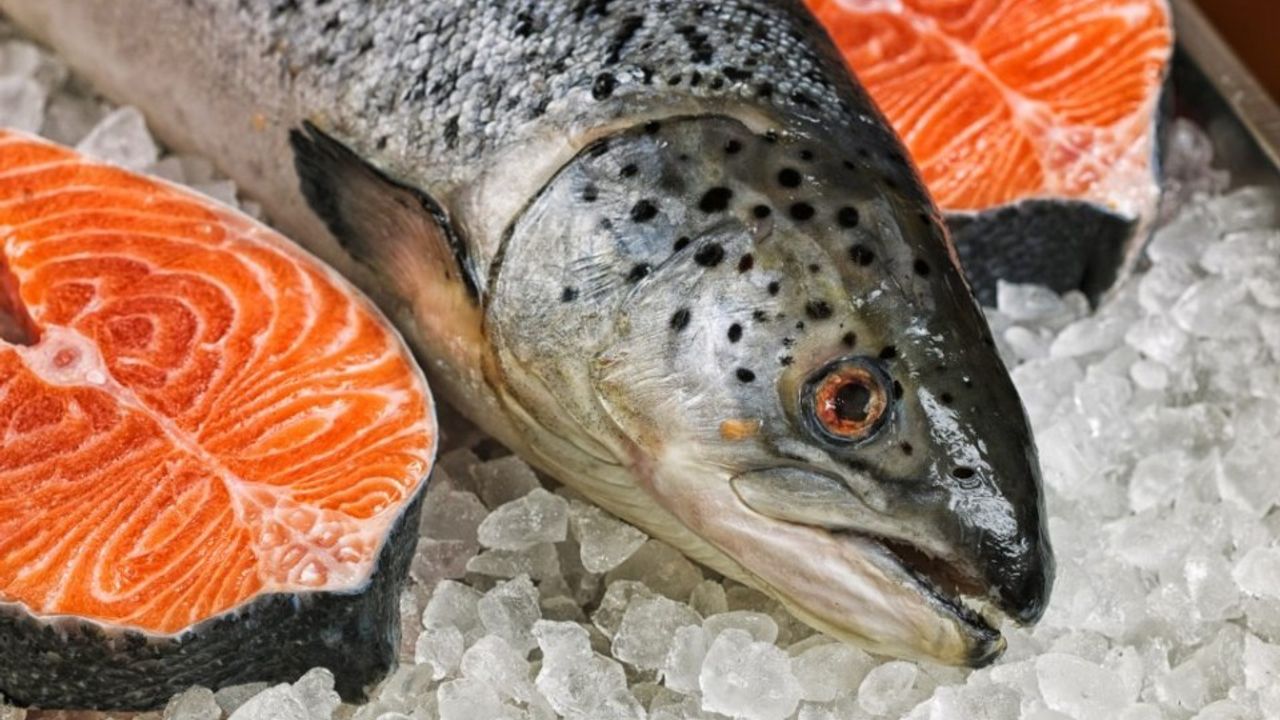 Doğu Karadeniz’in somon ihracatı 6 ayda 81,5 milyon doları aştı – Birlik Haber Ajansı