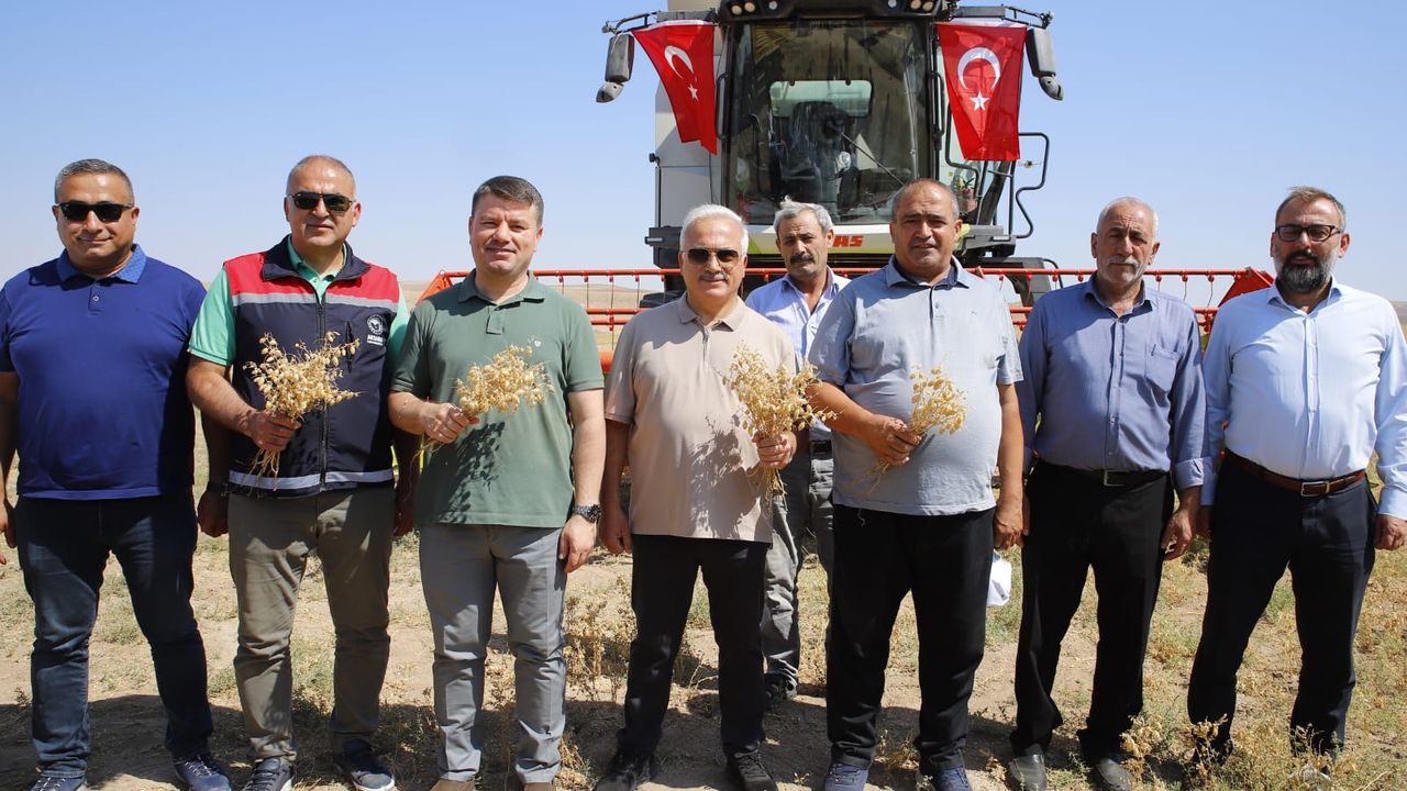 Boş araziler üretime kazandırıldı – Birlik Haber Ajansı