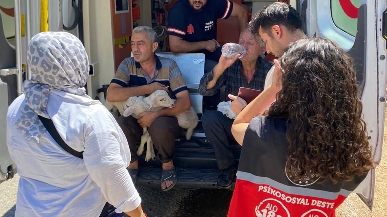 Yangın bölgesindeki hanelere 12 milyon yardım – Birlik Haber Ajansı