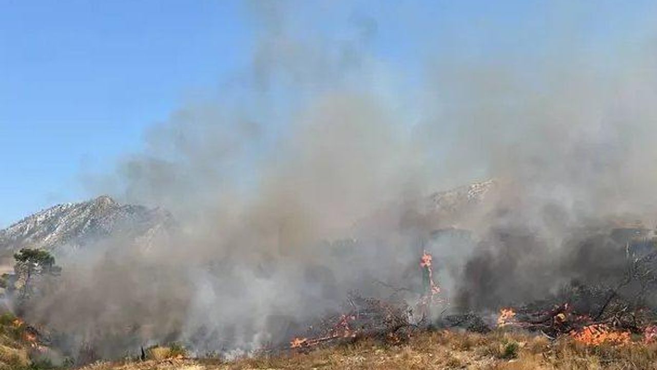 Şırnak’ta Bestler Dereler bölgesinde orman ve örtü yangını – Birlik Haber Ajansı