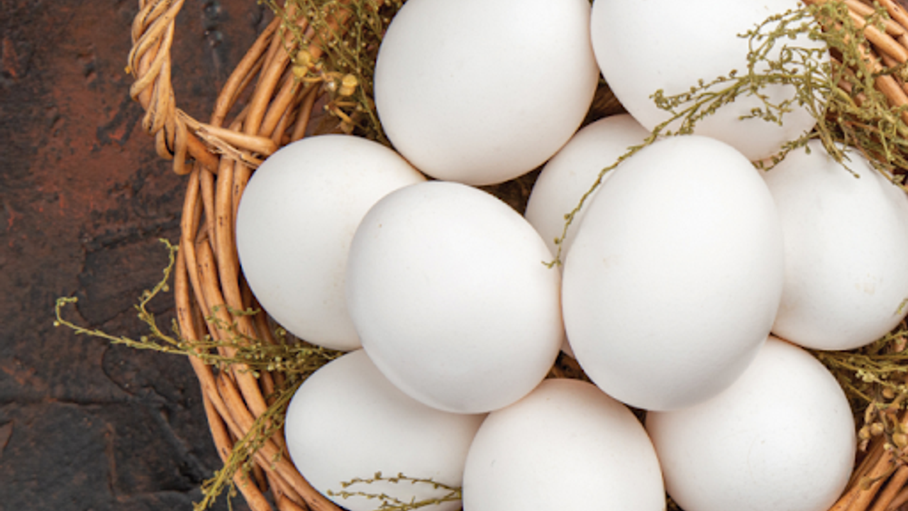 Yumurta ihracatına yeni düzenleme: İzin şartı getirildi – Birlik Haber Ajansı