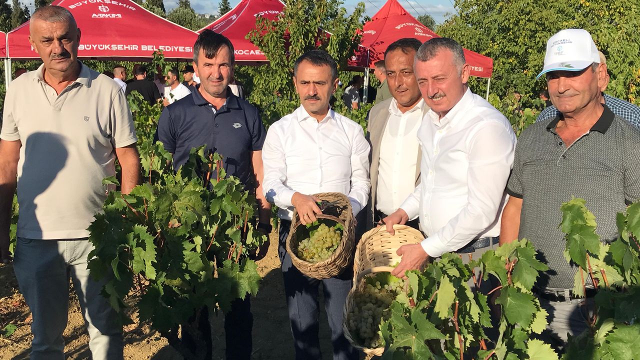 Başkan Büyükakın, İzmit’te üzüm hasadına katıldı – Birlik Haber Ajansı