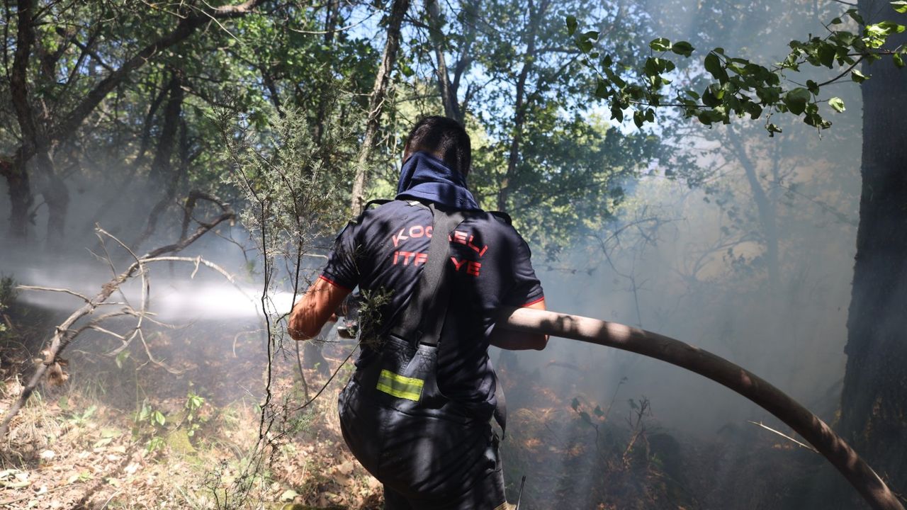 Orman gönüllülerine şehit statüsü getirildi – Birlik Haber Ajansı