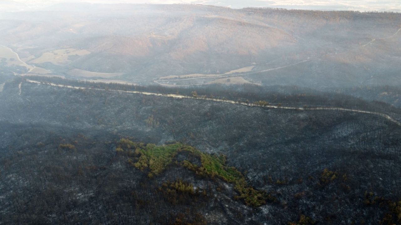 Gelibolu’daki yangından etkilenen köylerde hasar tespit çalışmaları sürüyor – Birlik Haber Ajansı