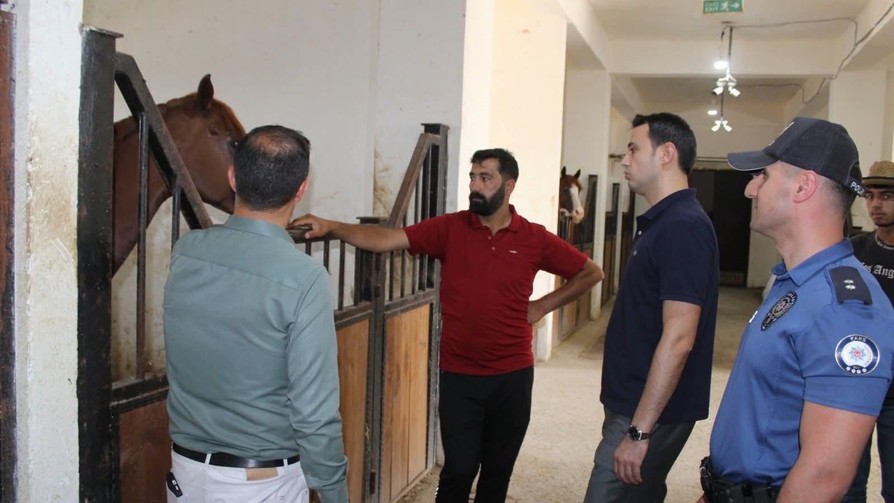 Selim Kaymakamı Semiz’den at çiftliğine ziyaret – Birlik Haber Ajansı