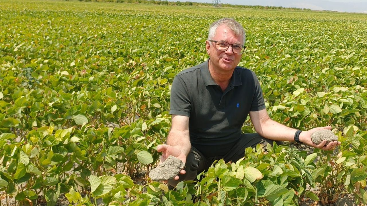 Hataylı çiftçiler: Züğürt Ağa olduk! – Birlik Haber Ajansı
