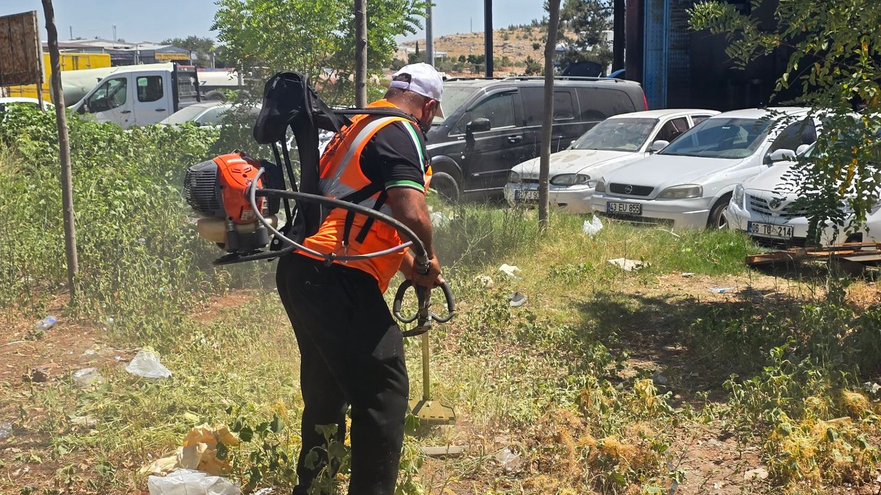 Evren Sanayi Sitesi’nde park çalışmaları başladı – Birlik Haber Ajansı