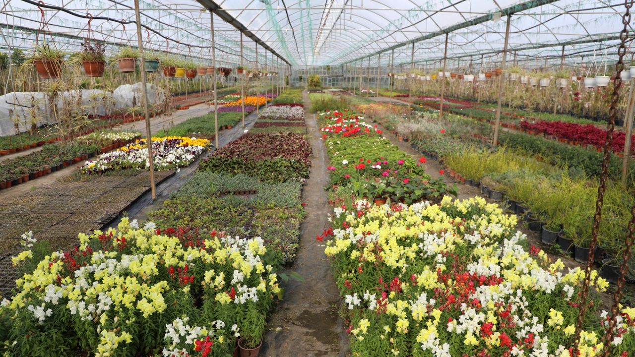 Kadın eliyle büyüyen üretim 23 Milyon TL’lik tasarruf getirdi – Birlik Haber Ajansı