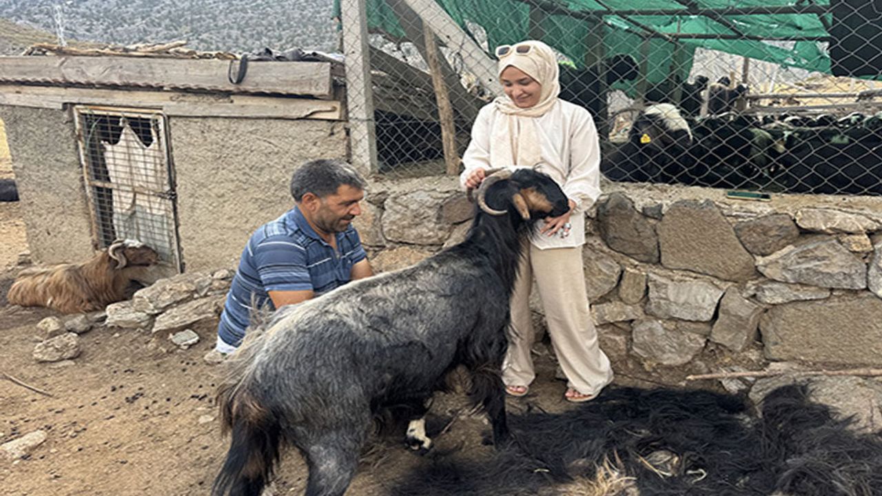 Antalya’da yörüklerin yüzyıllık geleneği yaşatılıyor: Kıl kırkımı – Birlik Haber Ajansı