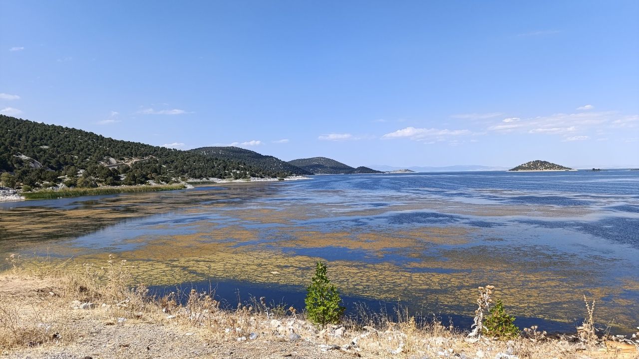 Kırkkepenekli Göleti’nde su çekilmesi balık ölümlerine yol açtı – Birlik Haber Ajansı