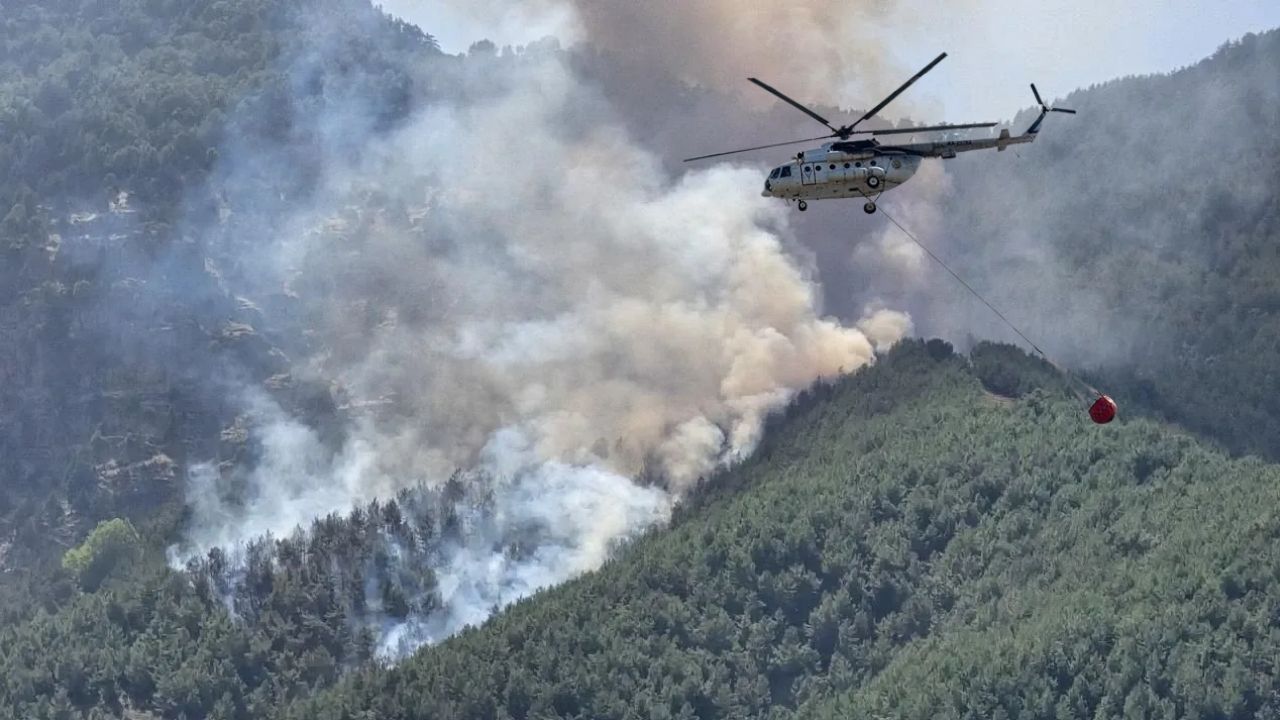 Mehmetçik “Yeşil Vatan” için görev başında – Birlik Haber Ajansı