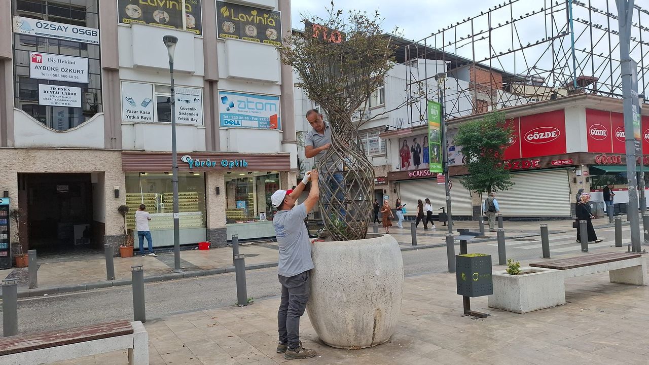 Ordu’nun kent estetiğine büyükşehir dokunuşu – Birlik Haber Ajansı