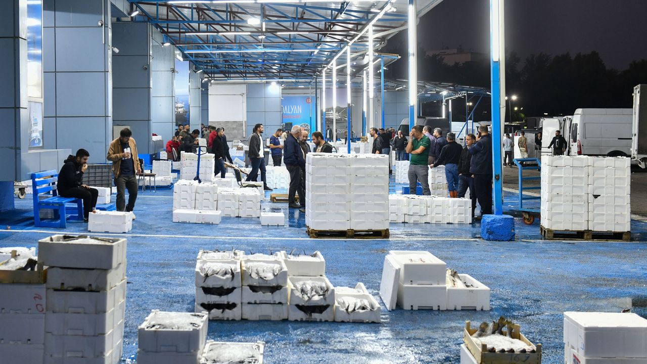 Balık avı sezonu açıldı – Birlik Haber Ajansı